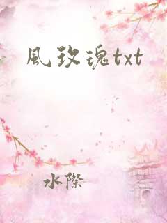 风玫瑰txt