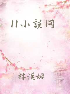 11小说网