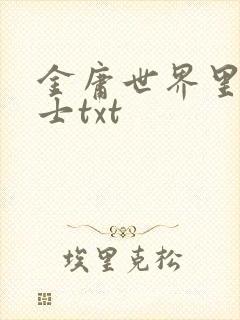金庸世界里的道士txt