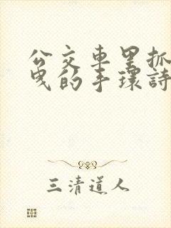 公交车里抓着摇曳的手环诗情