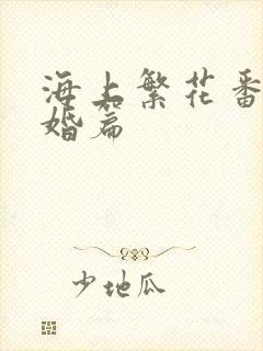 海上繁花番外结婚篇