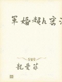 军婚超h密液