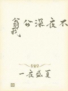 翁公深夜不停要我