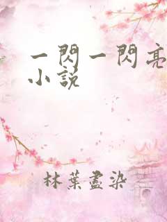 一闪一闪亮星星小说