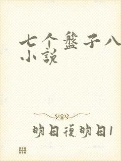 七个盘子八个碗小说