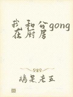 我和公gong在厨房