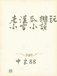 老汉瓜棚玩小丹小雪小说