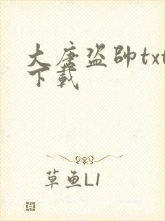 大唐盗帅txt下载