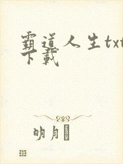 霸道人生txt下载