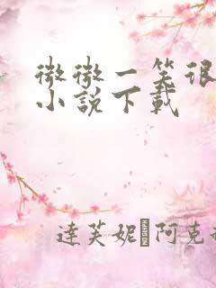 微微一笑很倾城小说下载