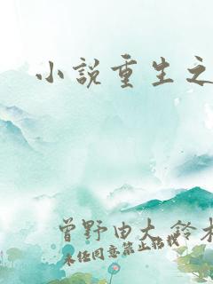 小说重生之官道