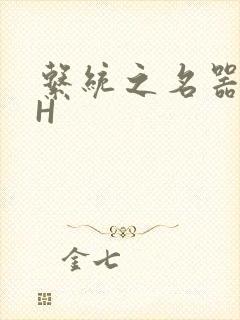 系统之名器勾男H