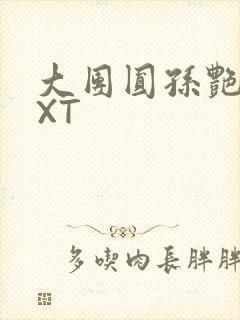 大团圆孙艳梅TXT