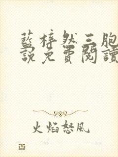 蓝梓然三胞胎小说免费阅读