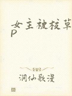 女主被校草们NP
