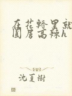 在花轿里就开始圆房高辣h