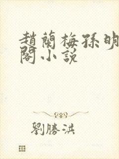 赵兰梅孙明笔趣阁小说