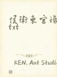 侯卫东官场笔记txt