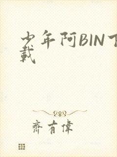 少年阿BIN下载