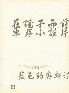 在镜子面前做开车疼小说片段