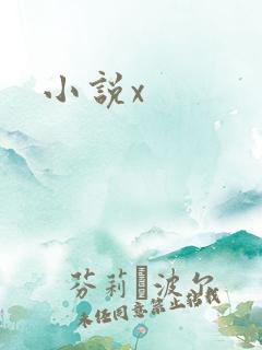 小说x