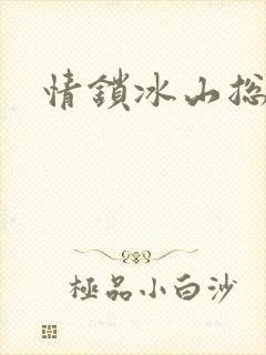 情锁冰山总裁