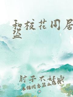 和校花同居的大盗