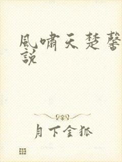 风啸天楚馨月小说
