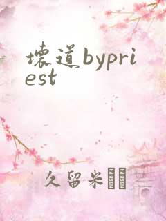 坏道bypriest
