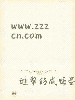 www.zzzcn.com