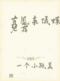 有凤来仪蝶儿蝶儿舞