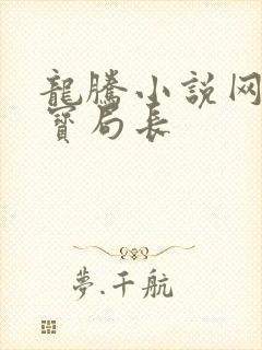 龙腾小说网 三宝局长