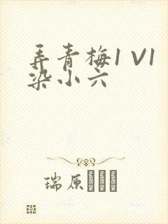 弄青梅1 V1染小六