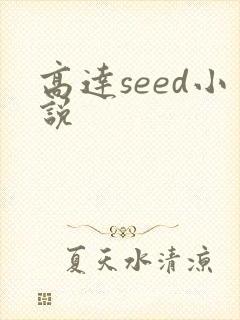 高达seed小说