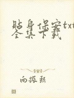 贴身保安txt全集下载