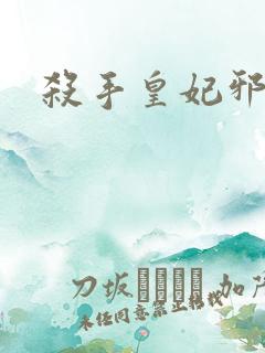 杀手皇妃邪魅帝