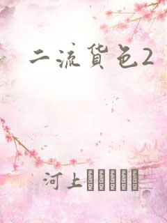 二流货色2