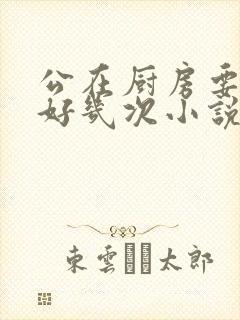 公在厨房要了我好几次小说