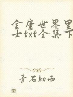 金庸世界里的道士txt全集下载