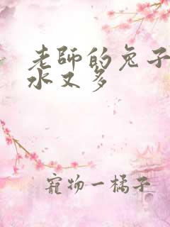 老师的兔子又软水又多