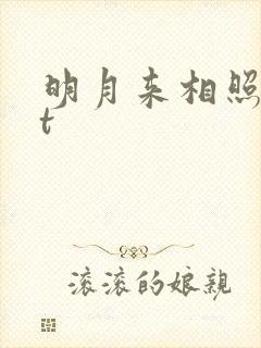 明月来相照txt