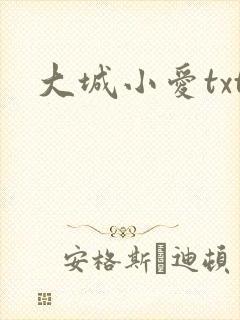 大城小爱txt