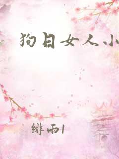 狗日女人小说