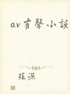 av有声小说