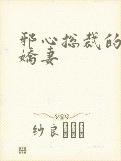 邪心总裁的纯情娇妻