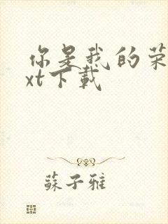 你是我的荣耀txt下载