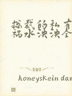 总裁的私有宝贝祸水泱泱全文阅读