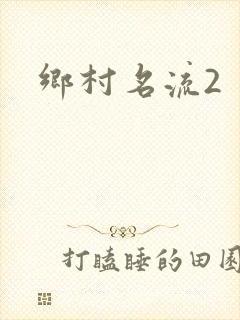 乡村名流2