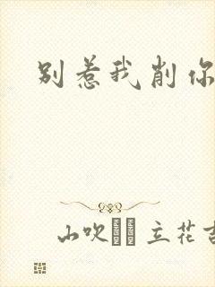 别惹我削你