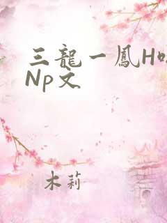 三龙一凤H啪肉Np文
